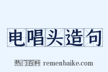 电唱头造句是什么意思的图片